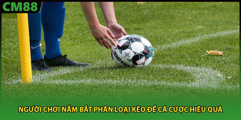 Người chơi nắm bắt phân loại kèo để cá cược hiệu quả