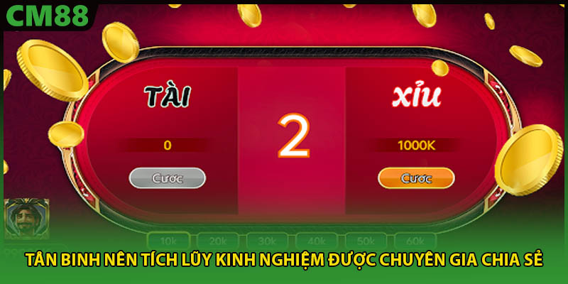 Tân binh nên tích lũy kinh nghiệm được chuyên gia chia sẻ